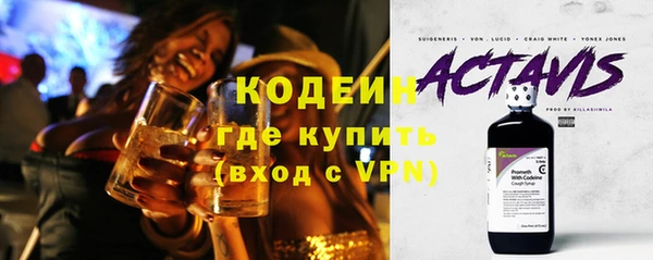 сатива Корсаков