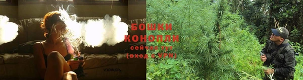 сатива Корсаков