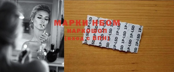 сатива Корсаков