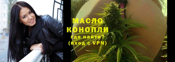 сатива Корсаков