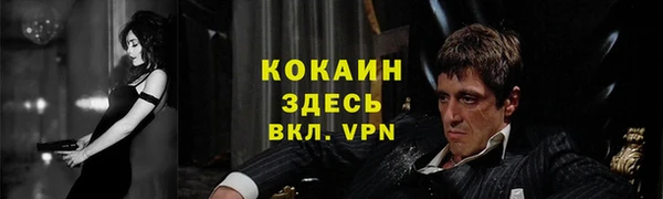 a pvp Коряжма