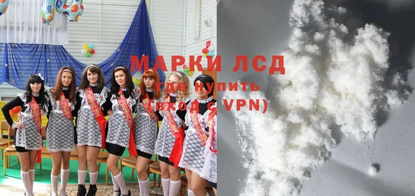 сатива Корсаков