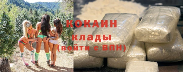сатива Корсаков