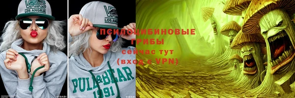 сатива Корсаков