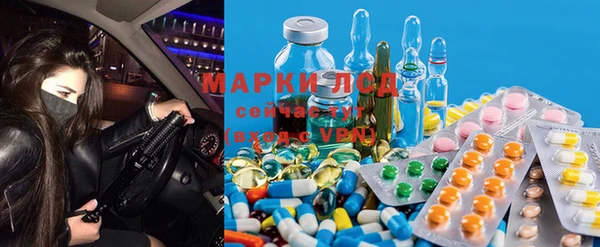 сатива Корсаков