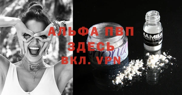 сатива Корсаков
