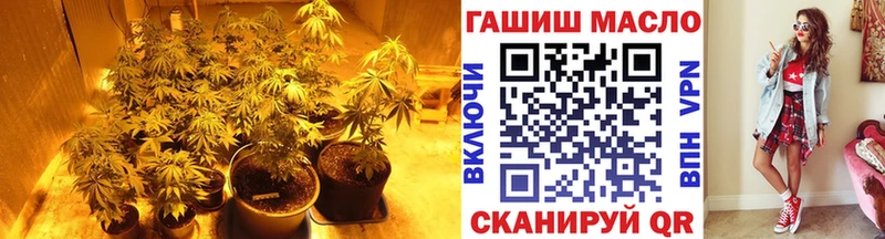 Купить  Ачхой-Мартан  ТГК концентрат 