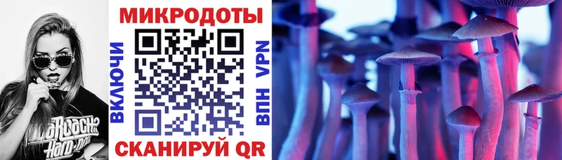 Купить  Ачхой-Мартан  Галлюциногенные грибы Psilocybine cubensis 